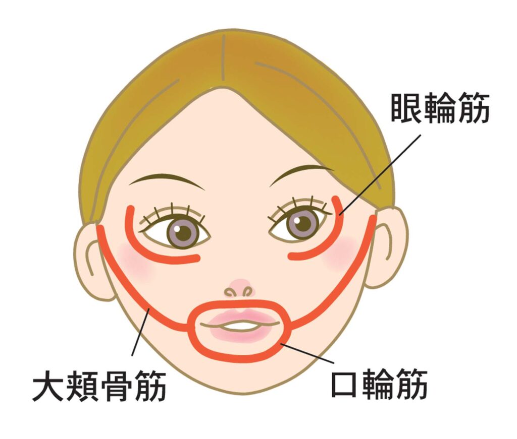 表情筋のトレーニング