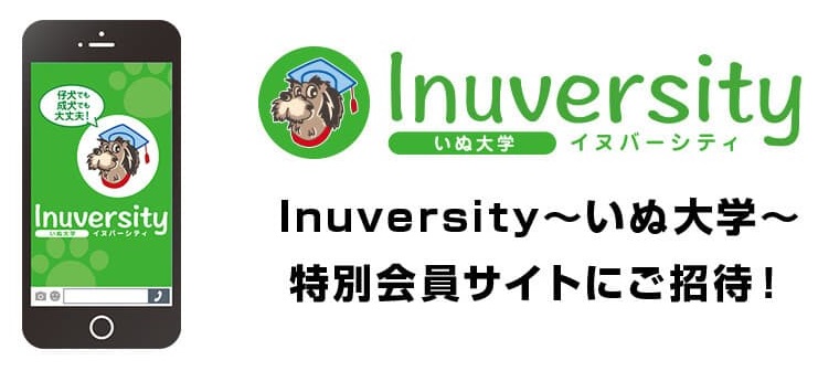 いぬ大学