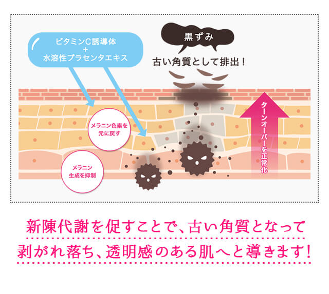 ハーバルラビットの成分